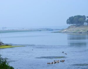 screenshot_20240815-010848_chrome4947346341000703964