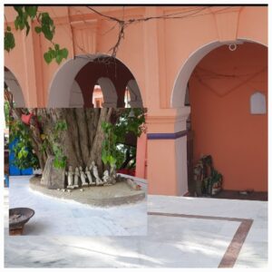 20240924_1429052409599962743413870