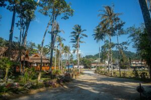 a dirt road with palm trees and houses