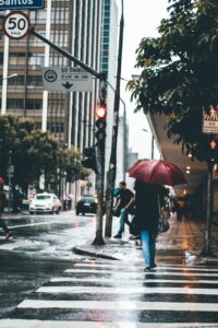 woman holding umbrella crossing pedestrian lane