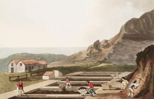 cznmcy1wcml2yxrll3jhd3bpegvsx2ltywdlcy93zwjzaxrlx2nvbnrlbnqvbhivcgqymc0xntawmzmtdgvkzhkuanbn4782490415400149299