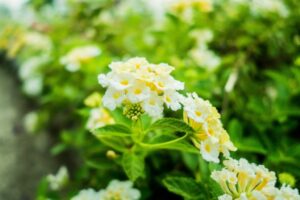 image-from-rawpixel-id-5953791-jpeg-1024x6837410330879784877760