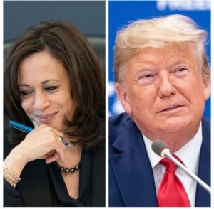 10001895586077091471755884050