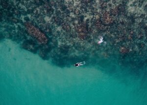 chjpdmf0zs9sci9pbwfnzxmvd2vic2l0zs8ymdiylta0l3vwd2s2mtcxmdm0oc13awtpbwvkawetaw1hz2uta293cxzrahquanbn2769389380053396294