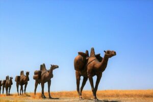 cznmcy1wcml2yxrll3jhd3bpegvsx2ltywdlcy93zwjzaxrlx2nvbnrlbnqvbhivchgxnjawmzm4lwltywdllwt3exbybgs0lmpwzw4491915172656099587