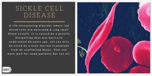 img-20250619-wa0028836877974319311847