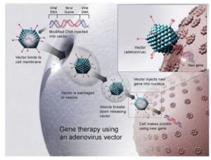 screenshot_2025-06-23-13-53-34-39_40deb401b9ffe8e1df2f1cc5ba480b122472151790150027801