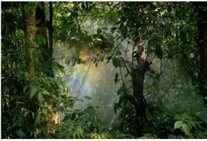 screenshot_2025-06-29-10-47-46-07_40deb401b9ffe8e1df2f1cc5ba480b12305403073694936023