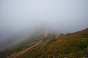 misty mountain trail in madeira portugal