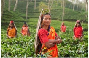 screenshot_2025-07-20-17-27-40-55_40deb401b9ffe8e1df2f1cc5ba480b12882858685022967560