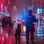 10000654902303587841108162450