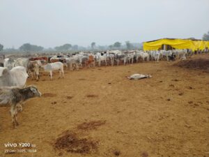 img-20251229-wa00008327092280417299560