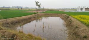 img-20260329-wa00207815971075501808230