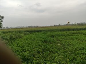 img_20260315_1302373278557189239579580