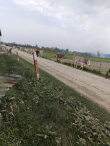 img_20260315_1411092636283300980524252