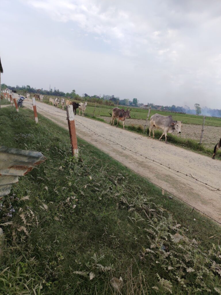 img_20260315_1411092636283300980524252