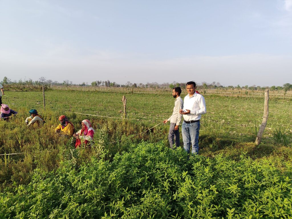 img_20260317_1655066070351568456573291