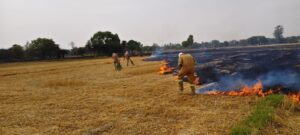 1190263436704254587136334