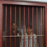 1311088817456668260826988