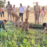 917564087725068505742997