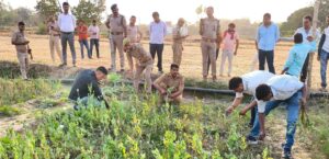 917564087725068505742997