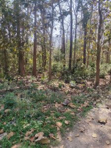 img_20260412_1353522083888629347483443