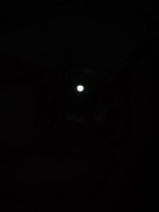 img-20260705-wa00595236428800210961748