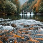 stockcake-autumnal_river_majesty-310415-medium3900855982778559874