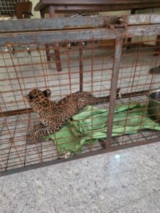 IMG-20261024-WA0123